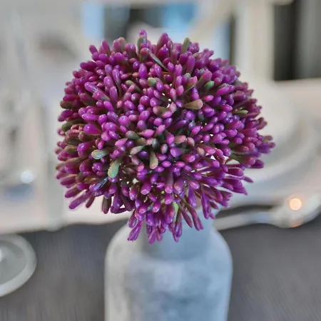 Haus Moewenberg 14 Haus Moewenberg 1 *