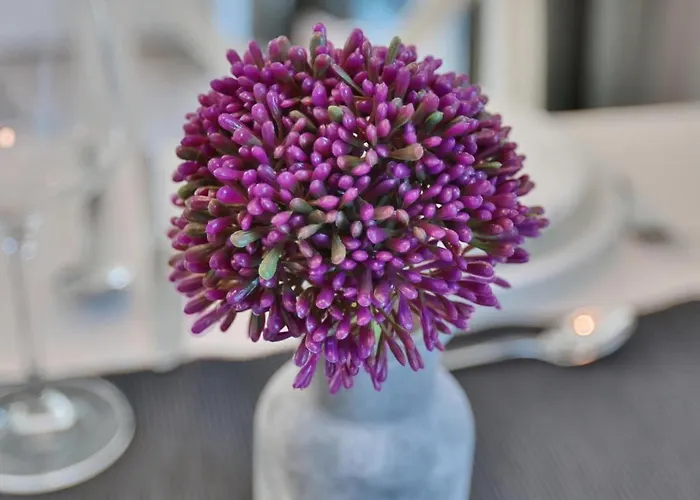 Haus Moewenberg 14 Haus Moewenberg 1 *